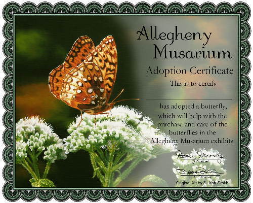 Butterfly Adoption Certificate