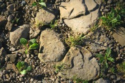 Learn about the rocks beneath our feet